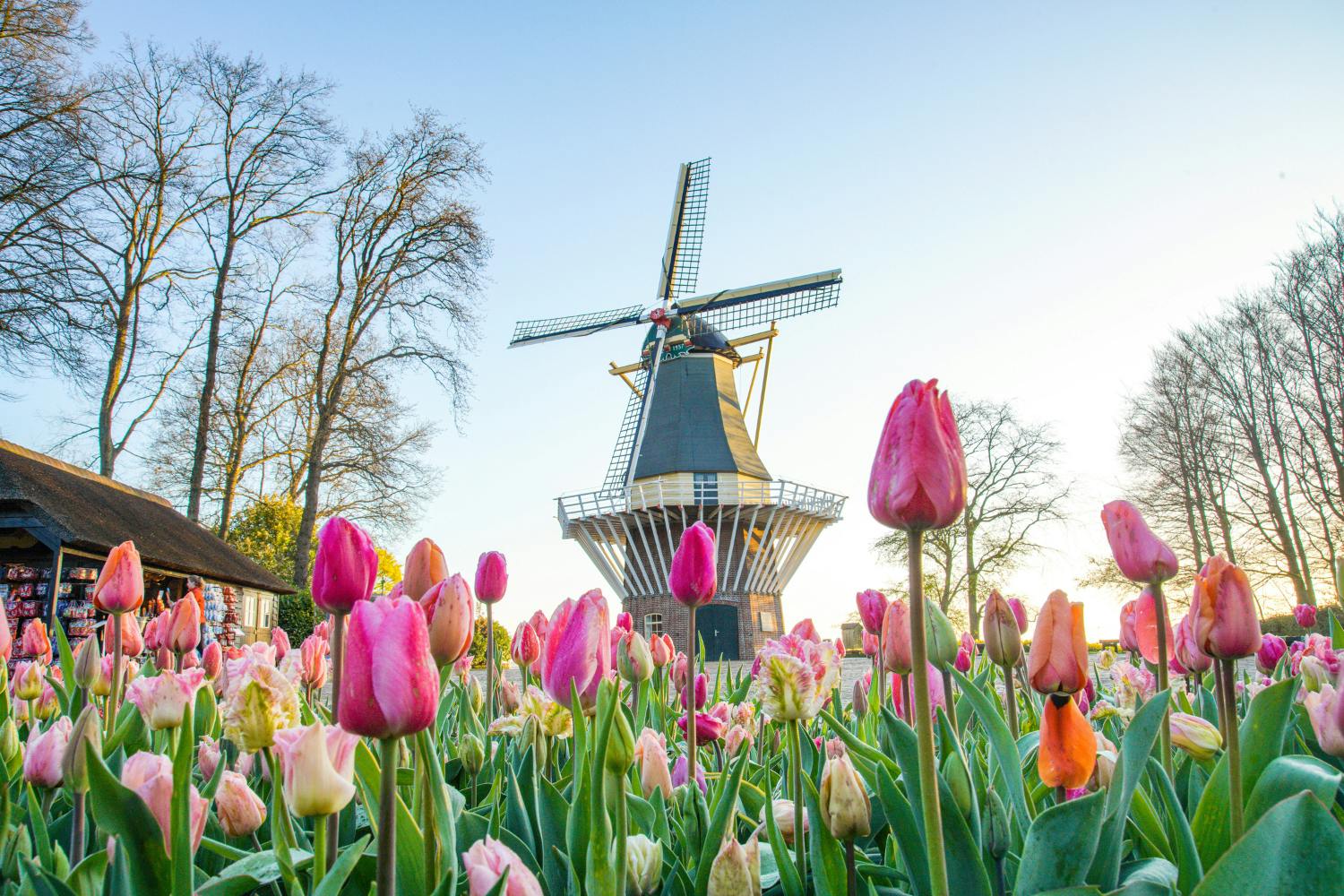 Tour von Amsterdam zum Keukenhof mit Landschafts- und Windmühlenkreuzfahrt