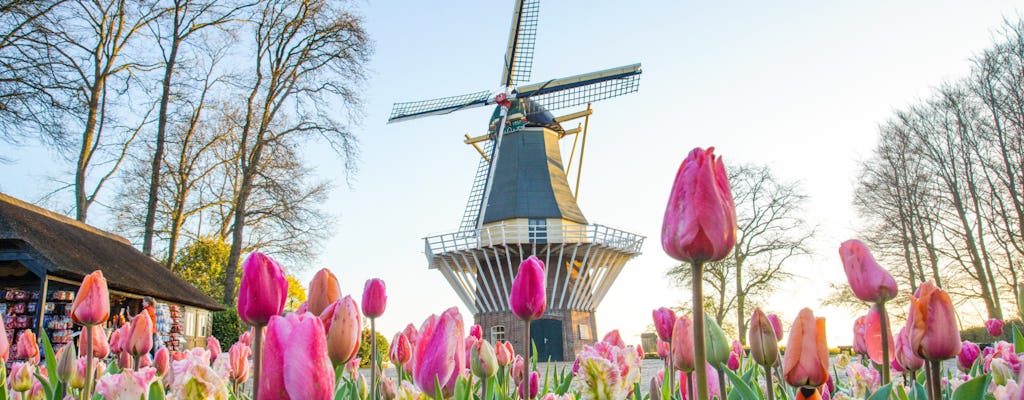 Tour van Amsterdam naar Keukenhof met plattelands- en windmolencruise