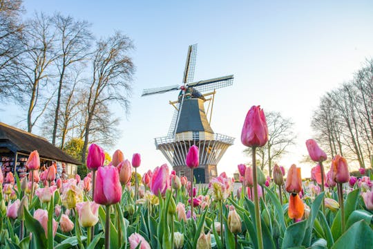 Tour van Amsterdam naar Keukenhof met plattelands- en windmolencruise