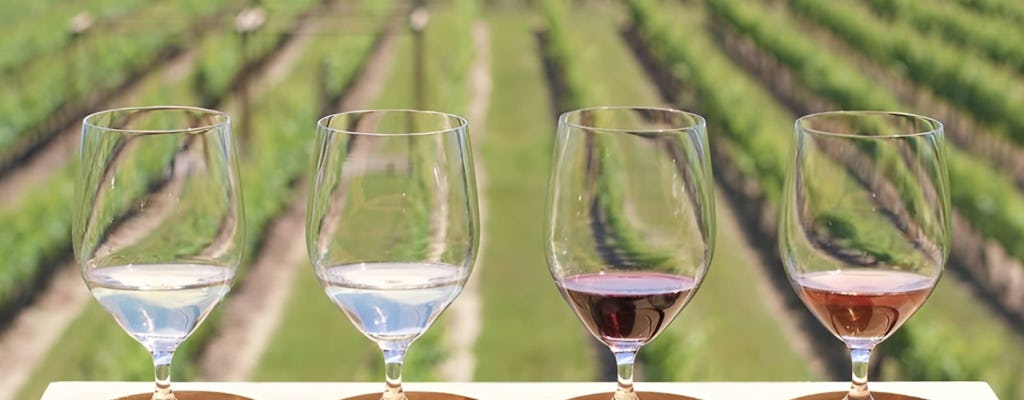 Chocolate, Wine and Niagara-on-the-Lake Tour from Toronto