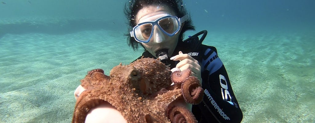 Lezione di immersioni subacquee per principianti a Creta con ritiro