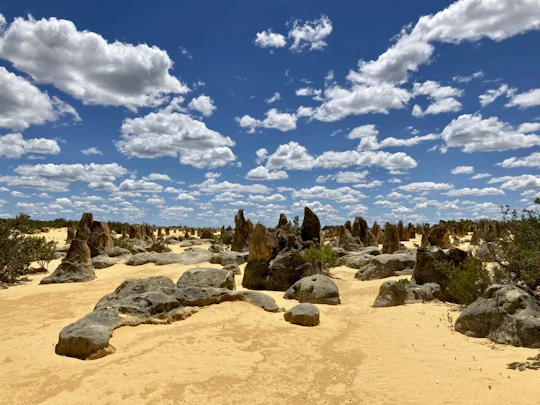 Pinnacles Guided Tour in German