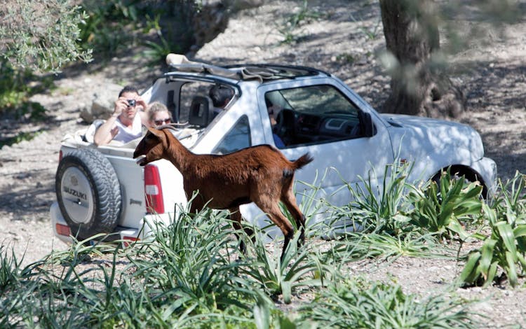 Mallorca Off-road