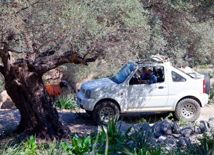 Mallorca Off-road