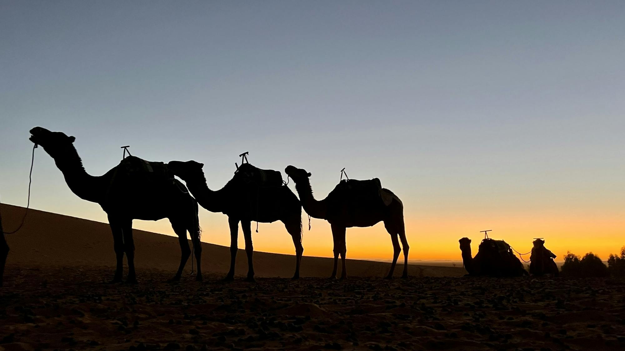 Experiência de viagem privada de 3 dias no deserto de Fes a Marrakech