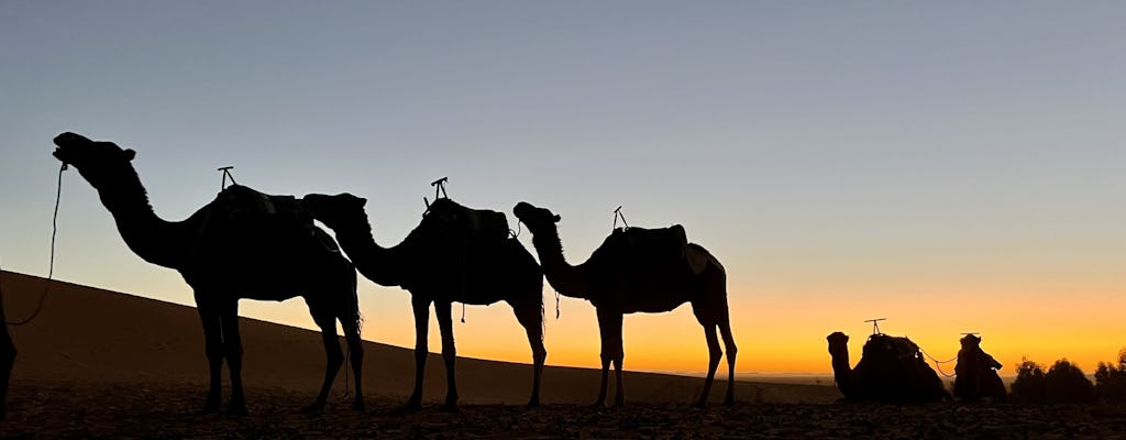 Fes naar Marrakech 3-daagse privé-woestijnreiservaring