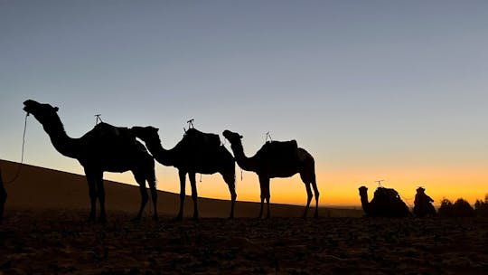 Fes to Marrakech 3-day private desert trip experience
