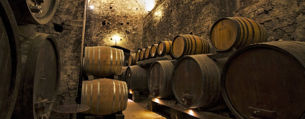 Visite guidée de Montepulciano et Montalcino avec dégustation de vins