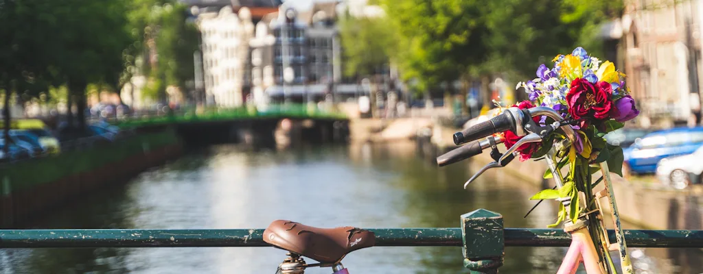 Amsterdam countryside bike tour with 1-hour canal cruise