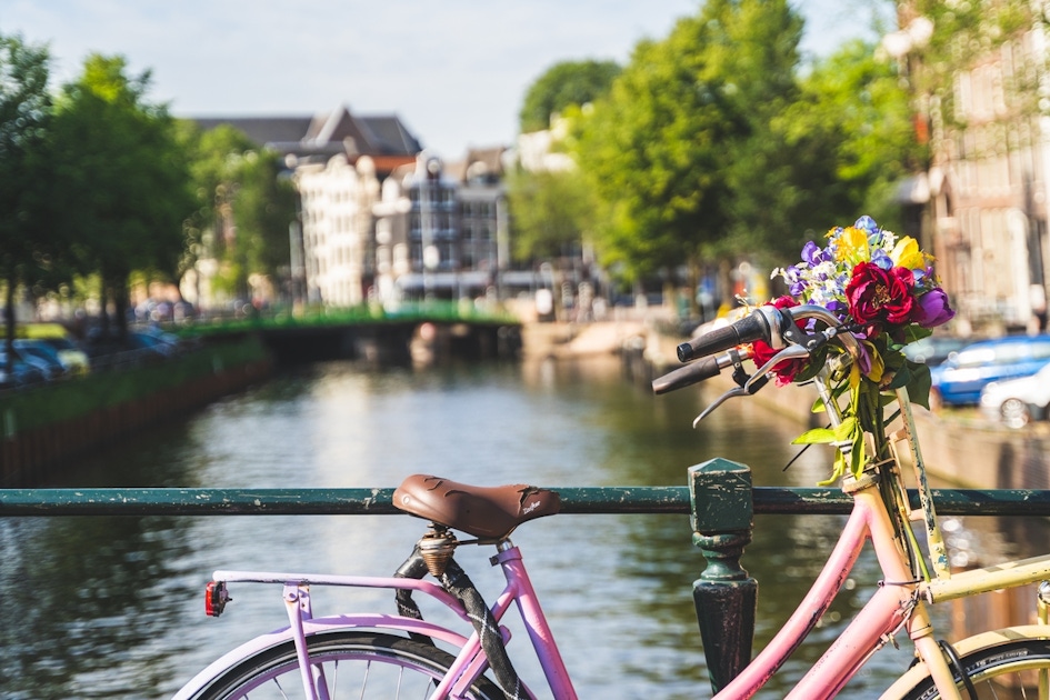 Nature in Amsterdam