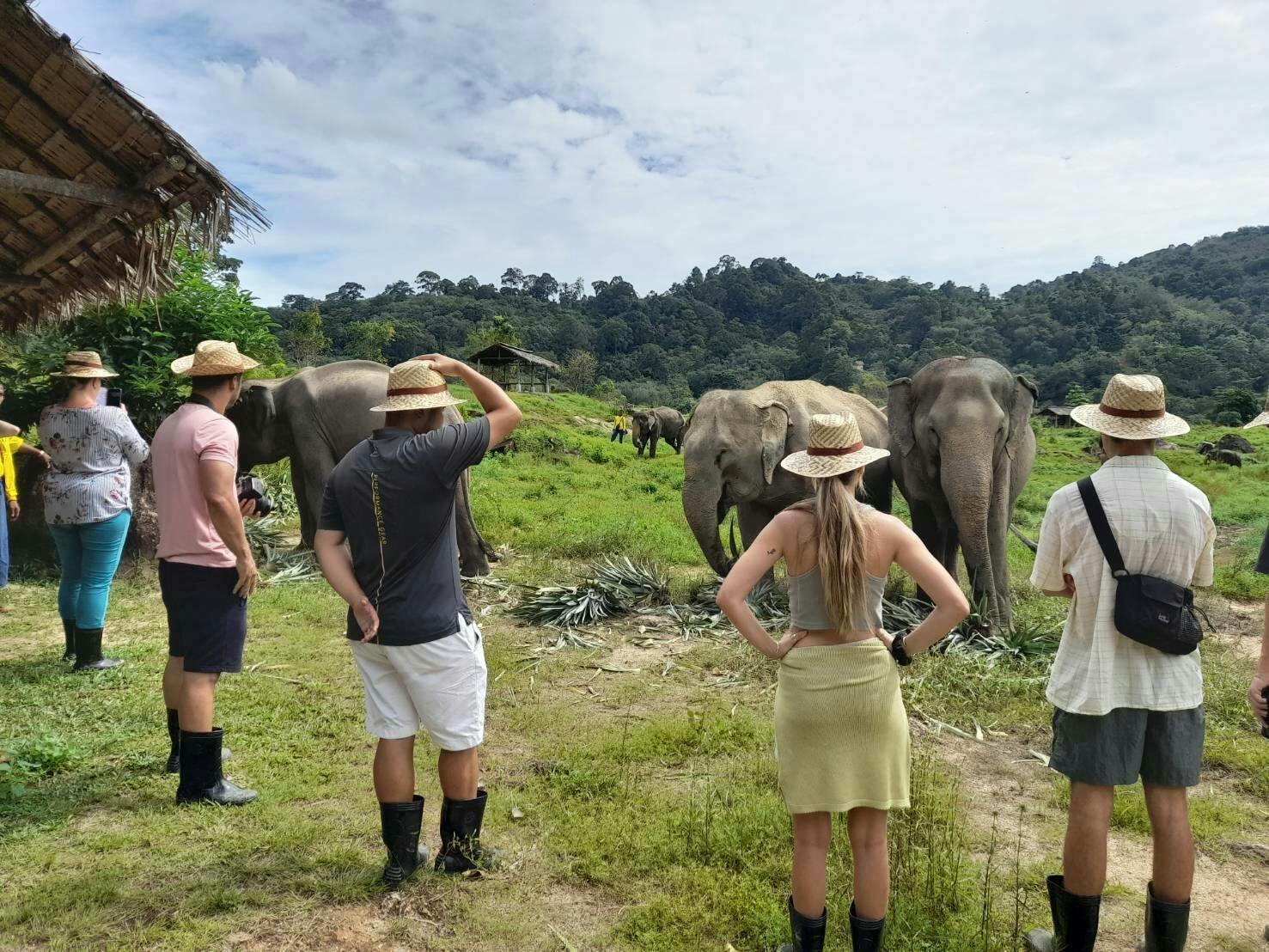 Half Day Elephant Nature From Phuket