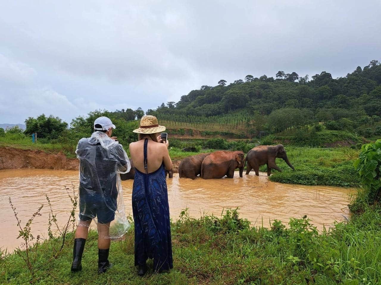 Half Day Elephant Nature From Phuket