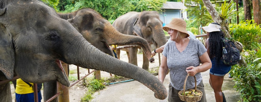 Halve dag mini olifantennatuur vanuit Phuket