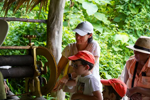 Half Day Mini Elephant Nature From Phuket