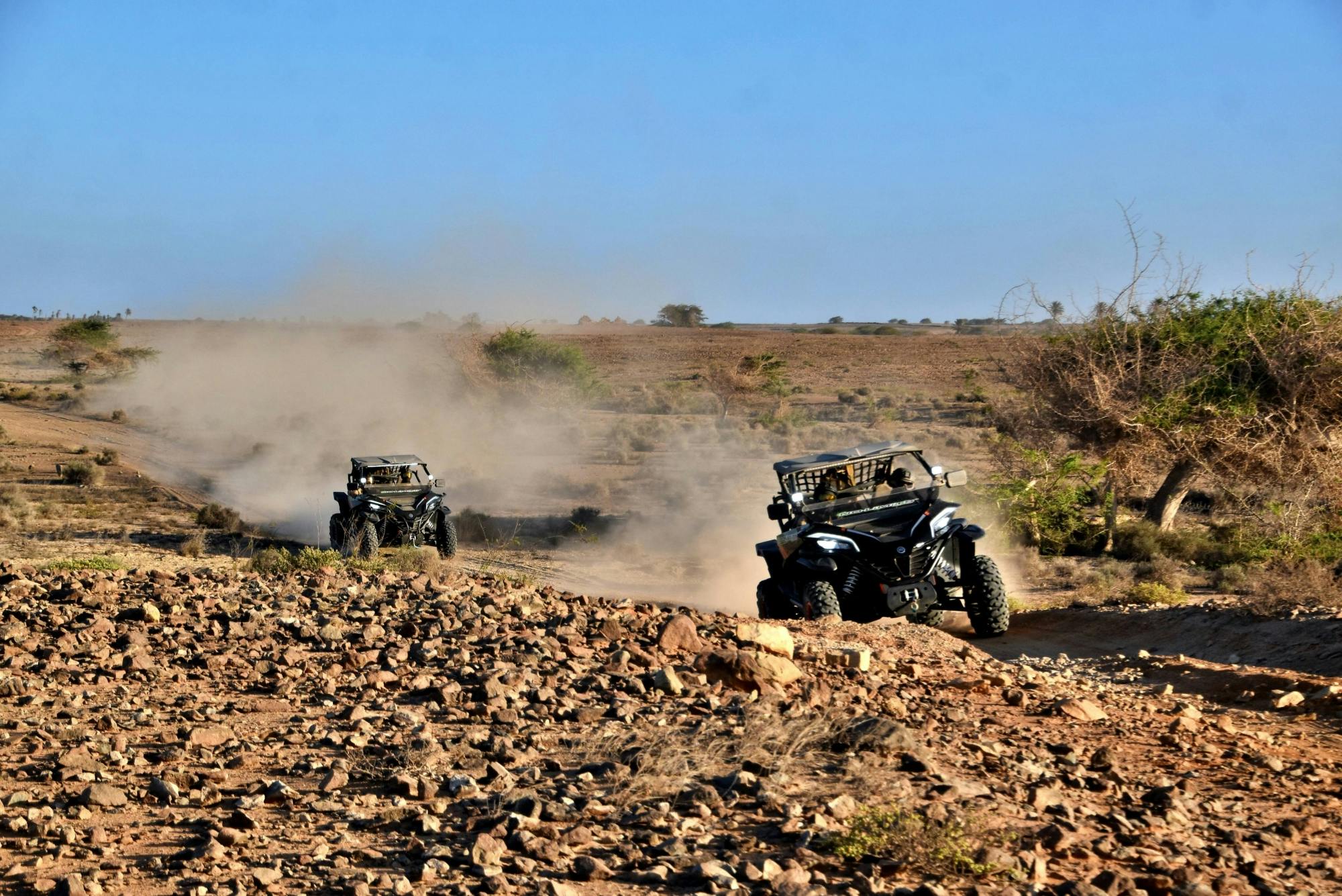 Boa Vista Death Valley two-hour Buggy Adventure