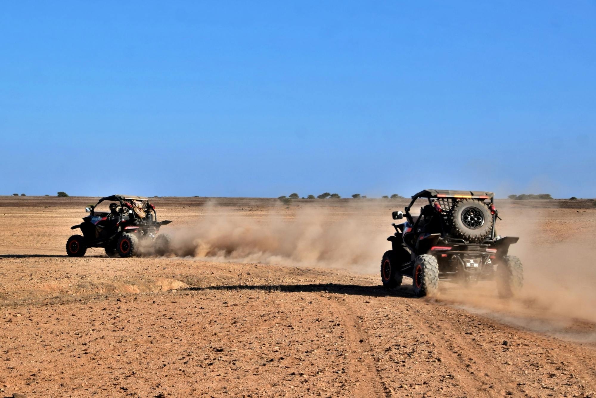 Boa Vista Death Valley two-hour Buggy Adventure