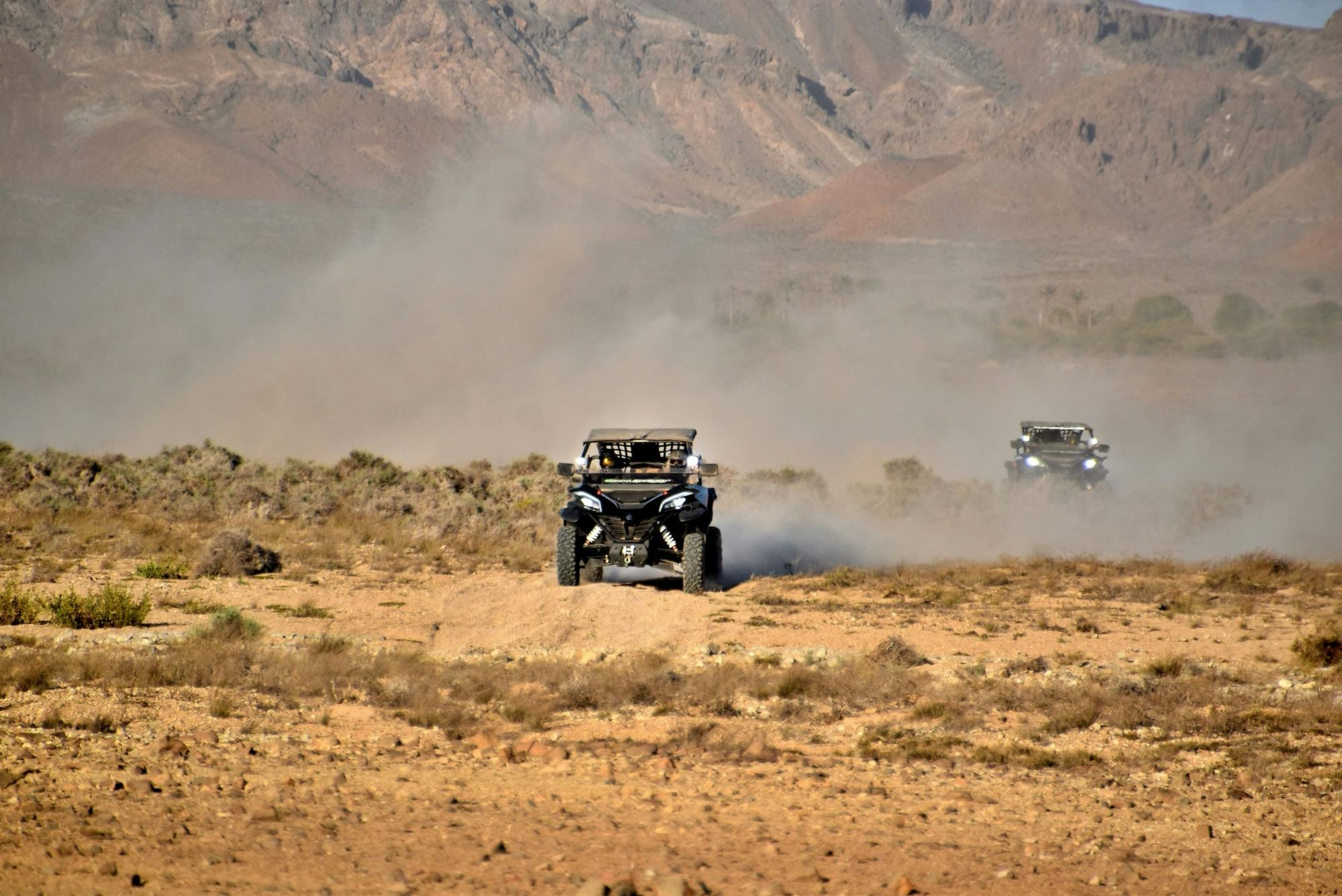 Boa Vista Death Valley two-hour Buggy Adventure