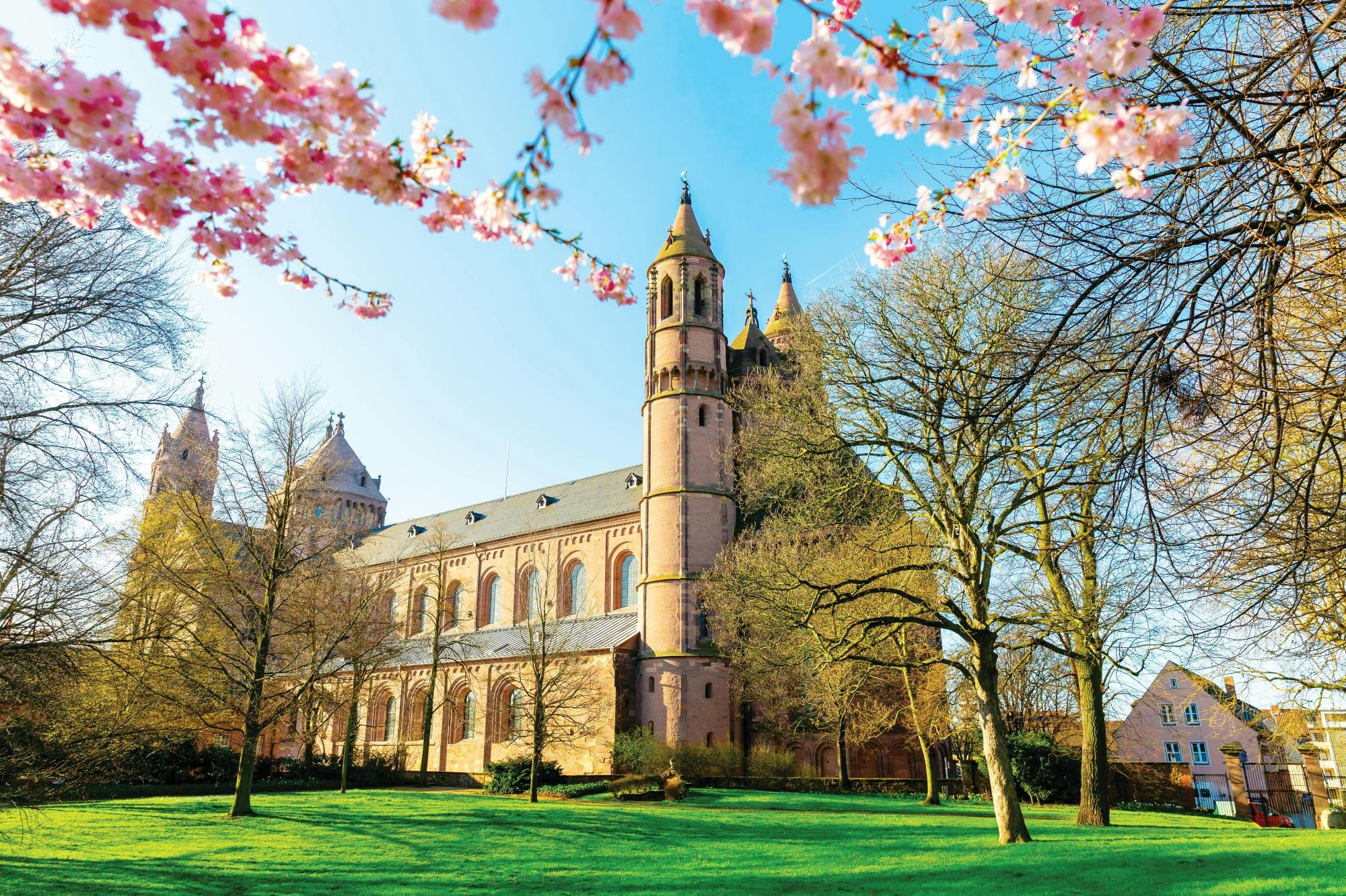 River Cruise Collection: Worms Cathedral and Luther Monument