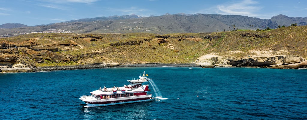 Croisière Royal Delfín de deux heures à la recherche des baleines et des dauphins