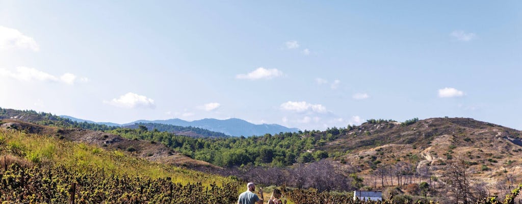 Nat Geo Day Tour : L'histoire du vin dans les îles Canaries