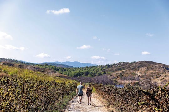 Nat Geo Day Tour: History of Wine in the Canary Islands