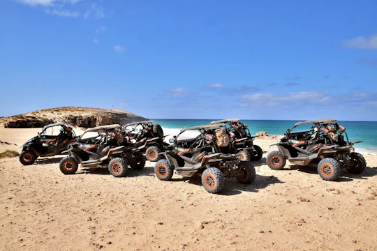 Southern Boa Vista four-hour buggy tour