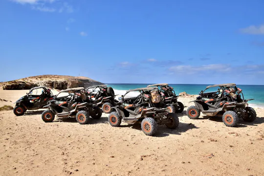 Southern Boa Vista four-hour buggy tour by No-Limits