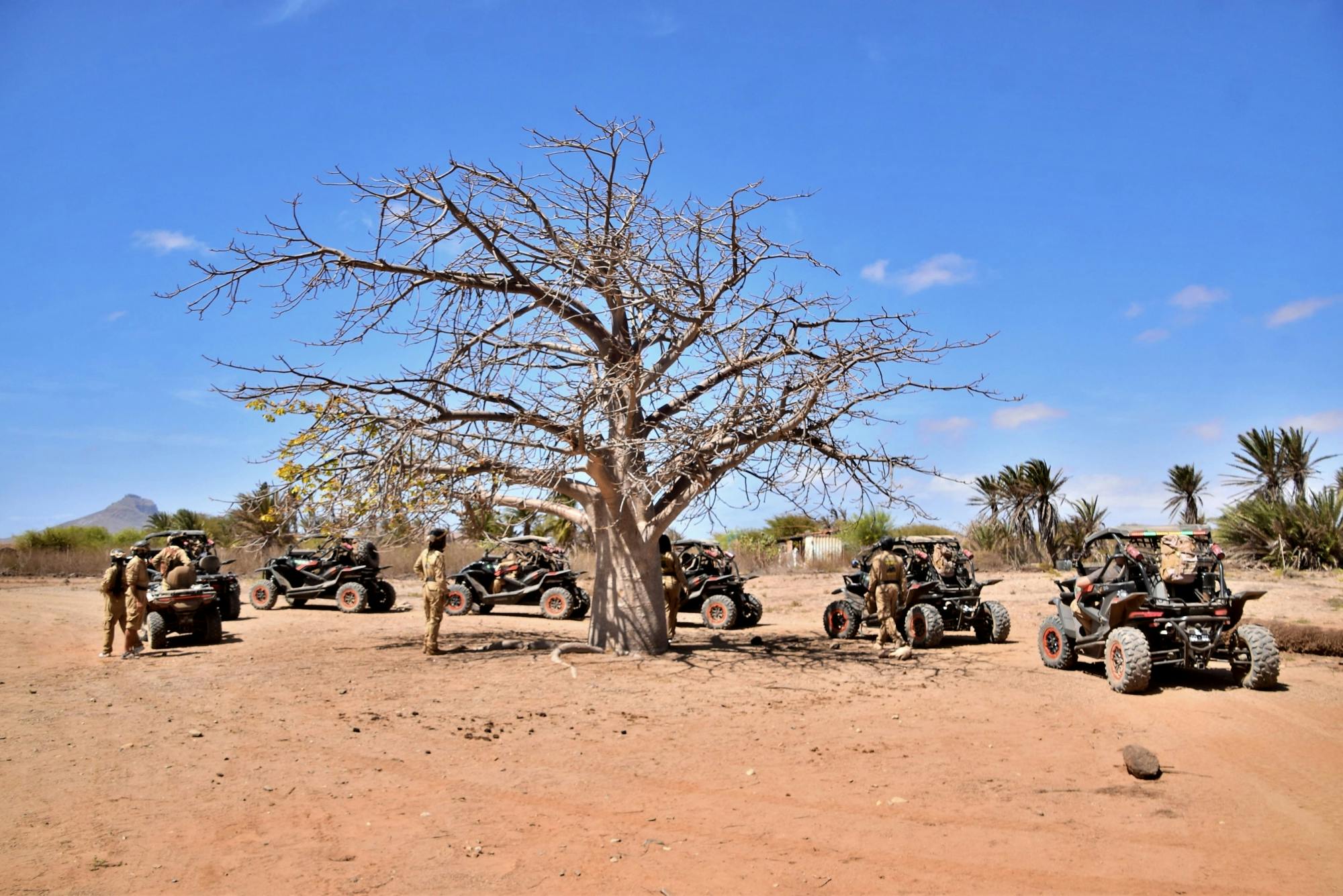 Southern Boavista Four-hour Buggy Tour by No-Limits