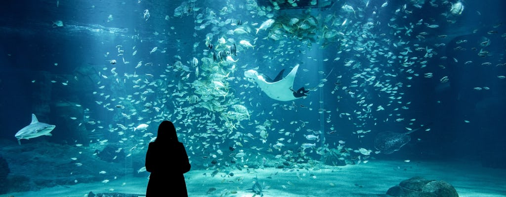 Ingresso sem fila para o aquário Nausicaá
