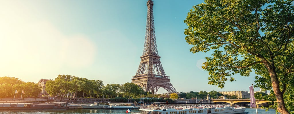 Paris Hop-On Hop-Off Bus Tour and Seine River Cruise