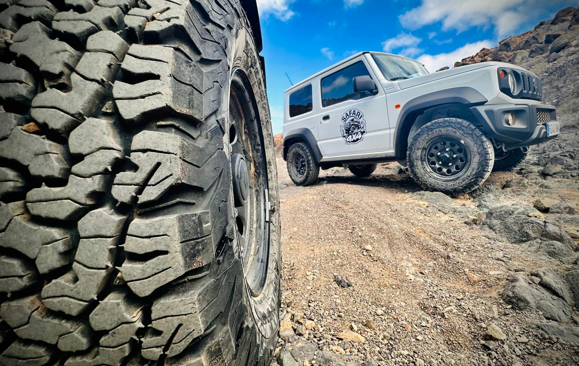 Northern Fuerteventura Self-Drive 4x4 Safari