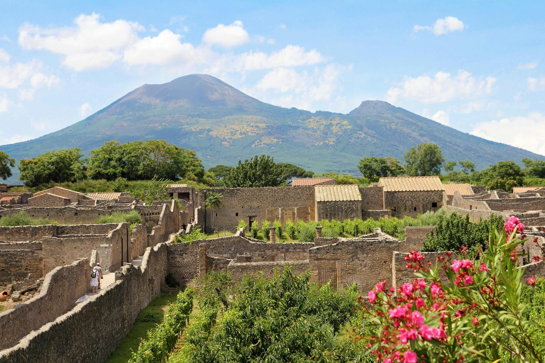 Volledige dagtour door Pompeii, Ercolano en de Vesuvius vanuit Salerno
