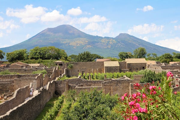 Tour di un'intera giornata di Pompei, Ercolano e Vesuvio da Salerno