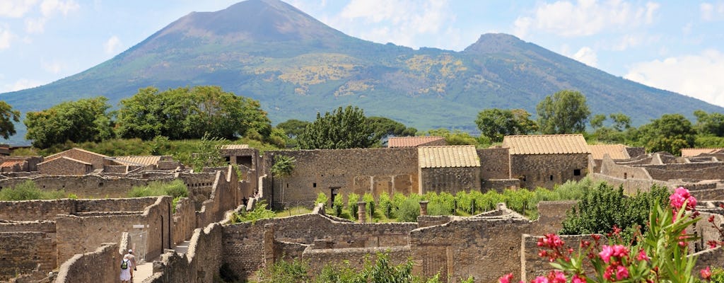 Tour di un'intera giornata di Pompei, Ercolano e Vesuvio da Salerno