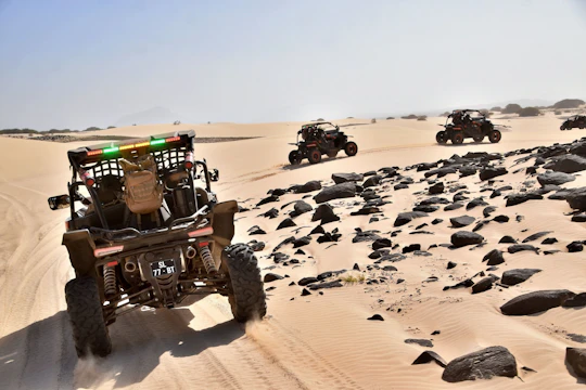 Northern Boa Vista two-hour buggy adventure