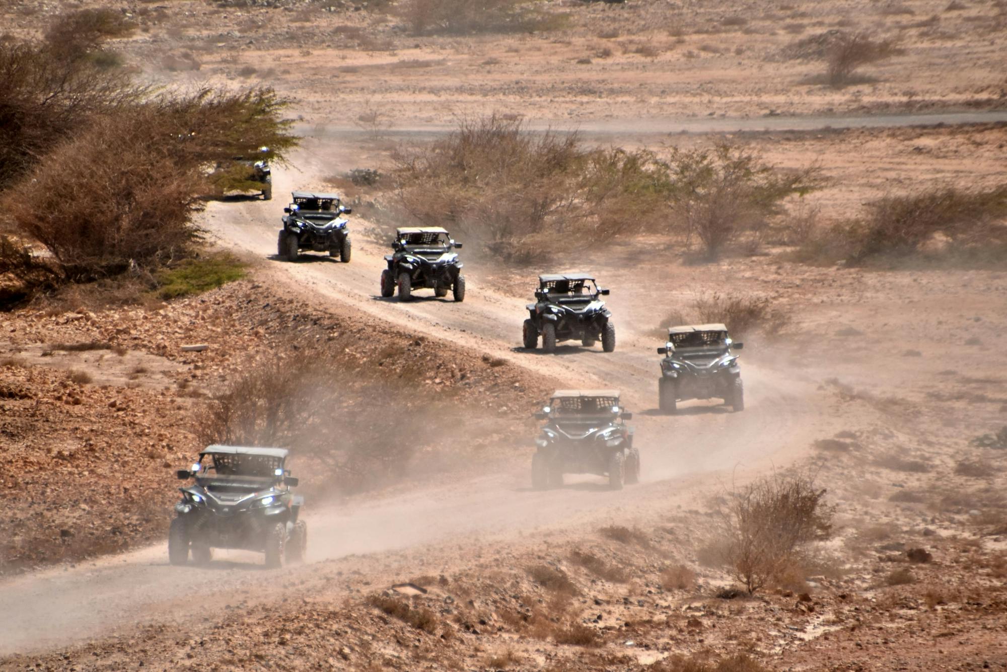 Northern Boa Vista Two-hour Buggy Adventure by No-Limits