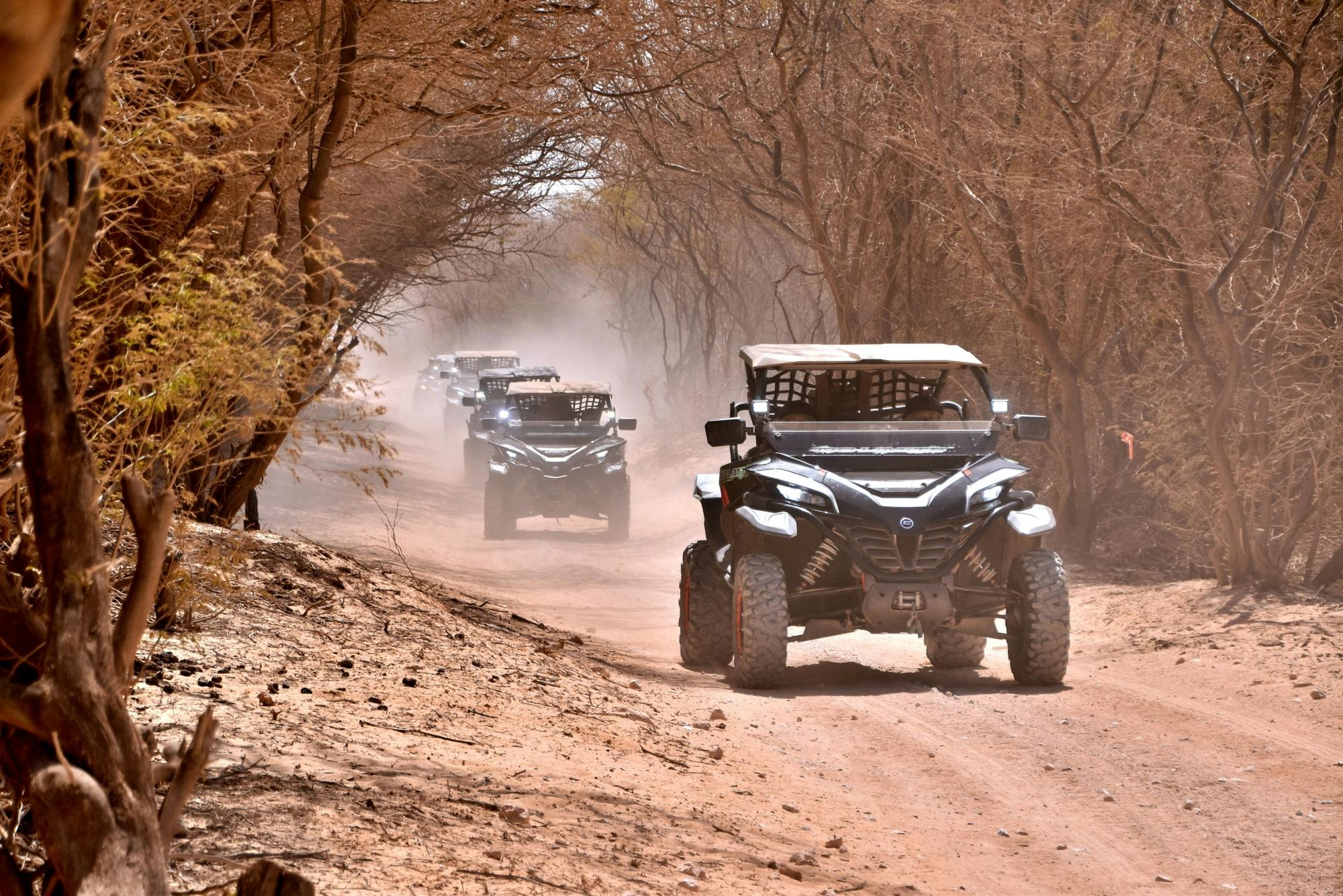 Northern Boa Vista Two-hour Buggy Adventure by No-Limits