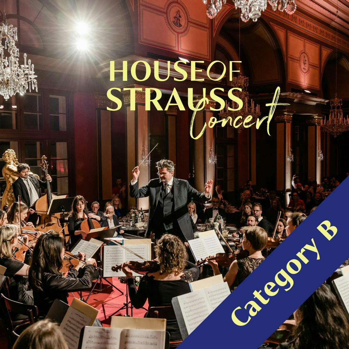 Ingresso para show de concerto House of Strauss categoria B