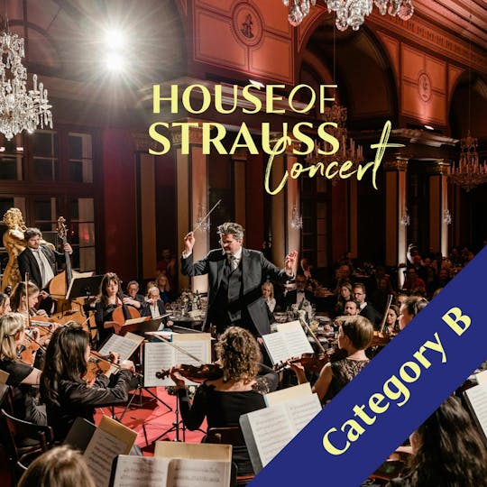 Ingresso para show de concerto House of Strauss categoria B