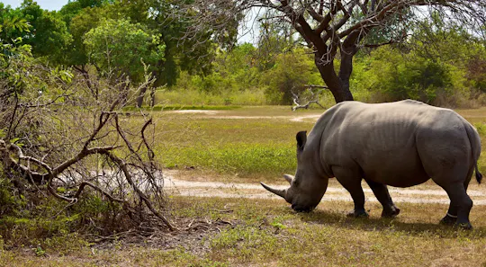 Fathala Wildlife Reserve full-day tour