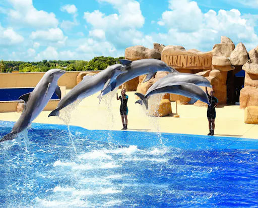 Marineland Catalunya Ticket