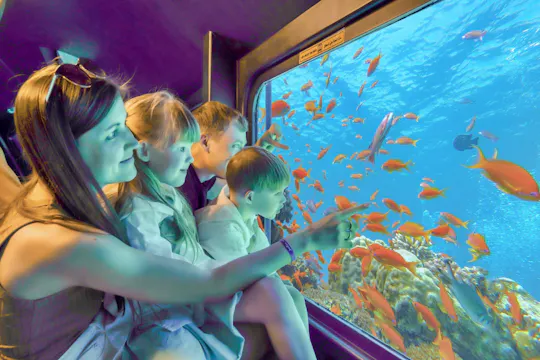 Seascope onderzeeër bij Hurghada en resorts