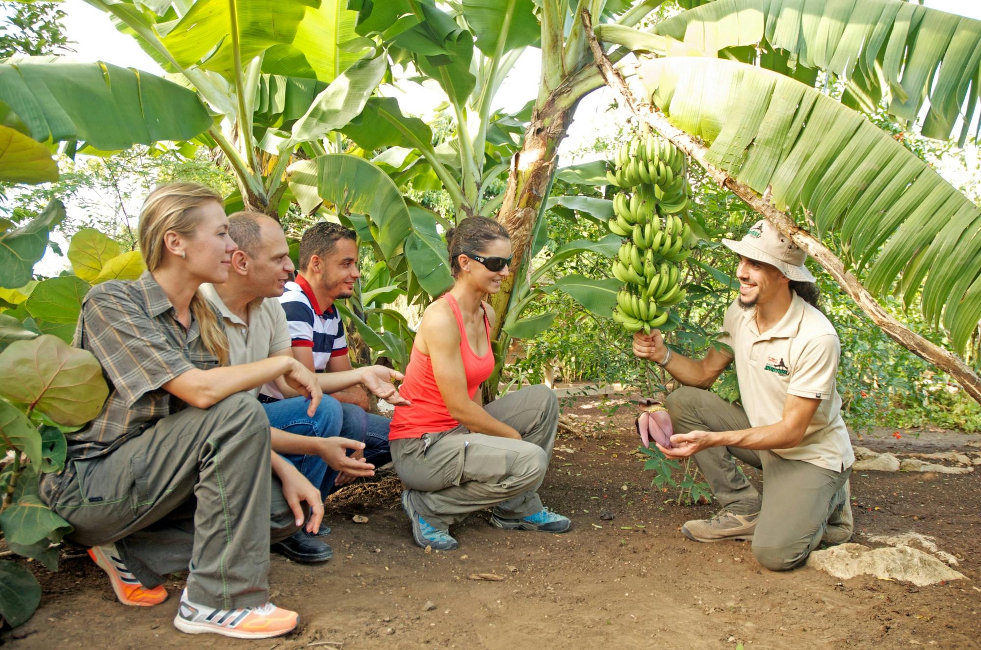 Exclusive Bavaro Adventure Park All-Access Pass