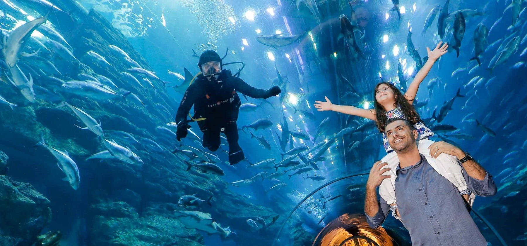Bilet regularny do akwarium w Dubaju i podwodnego zoo