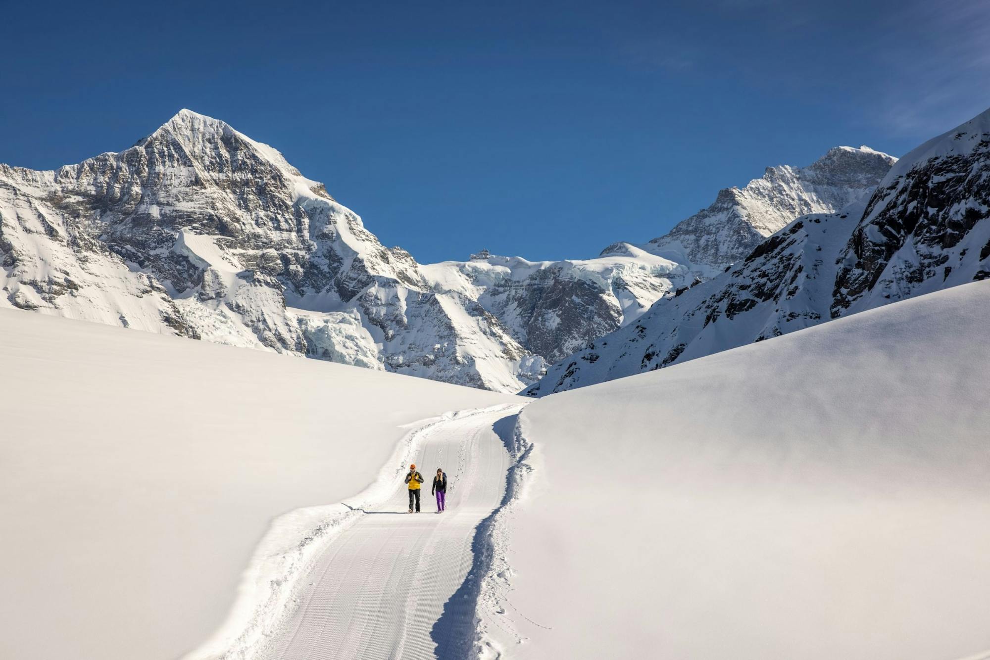 Sleeën en wandelen Jungfrau Winter Travel Pass