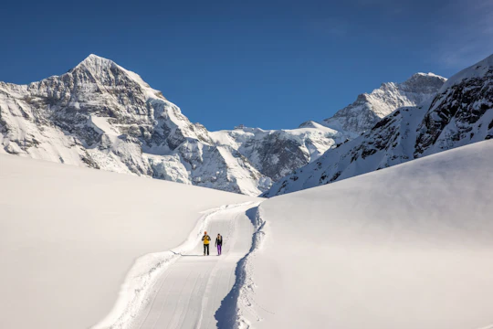 Sledging and Hiking Jungfrau Winter Travel Pass