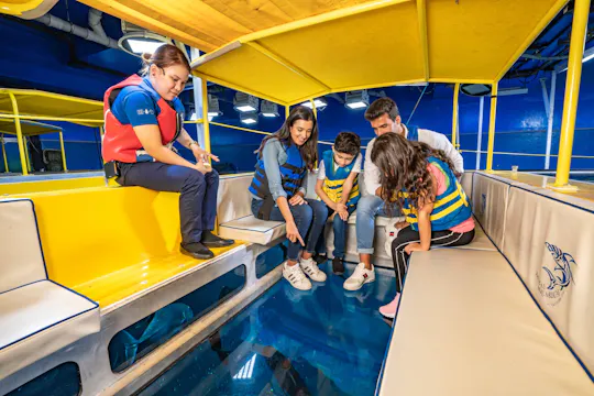 Dubai Aquarium and Underwater Zoo gold pass