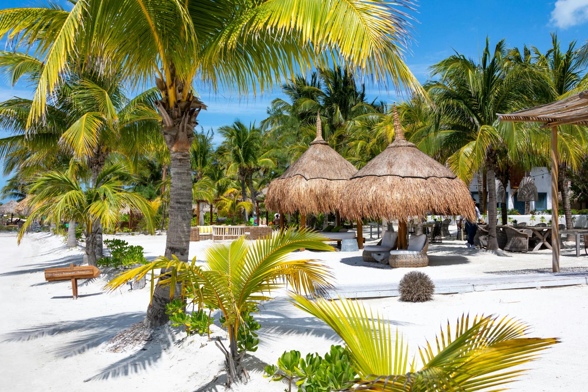 Excursion en bateau et en buggy sur l'île d'Holbox depuis Chiquila