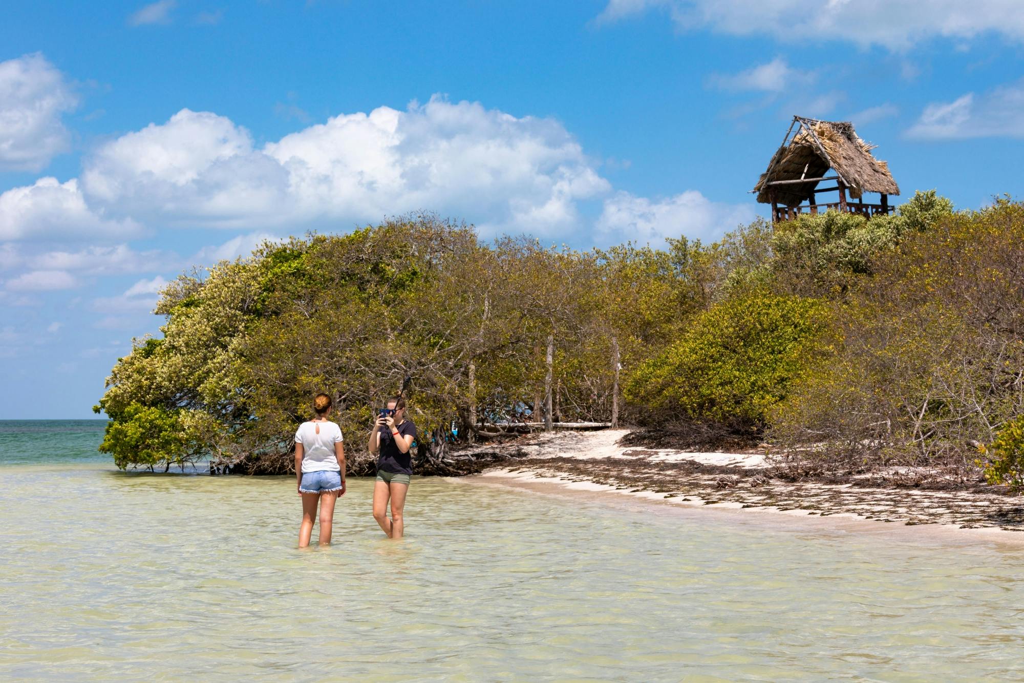 Holbox Island Boat and Buggy Tour from Chiquila