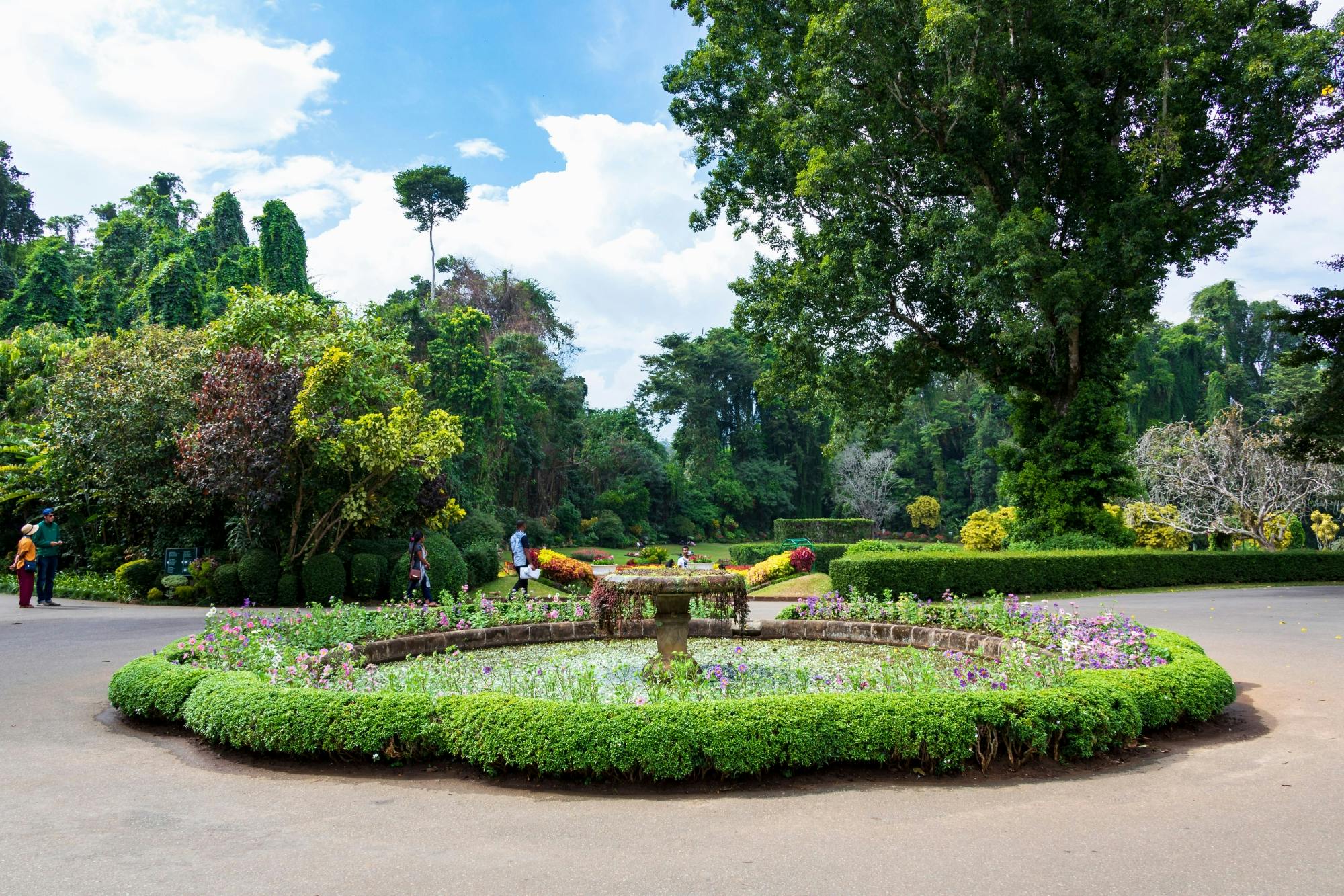 Kandy Day Tour with Temple of the Tooth Relic